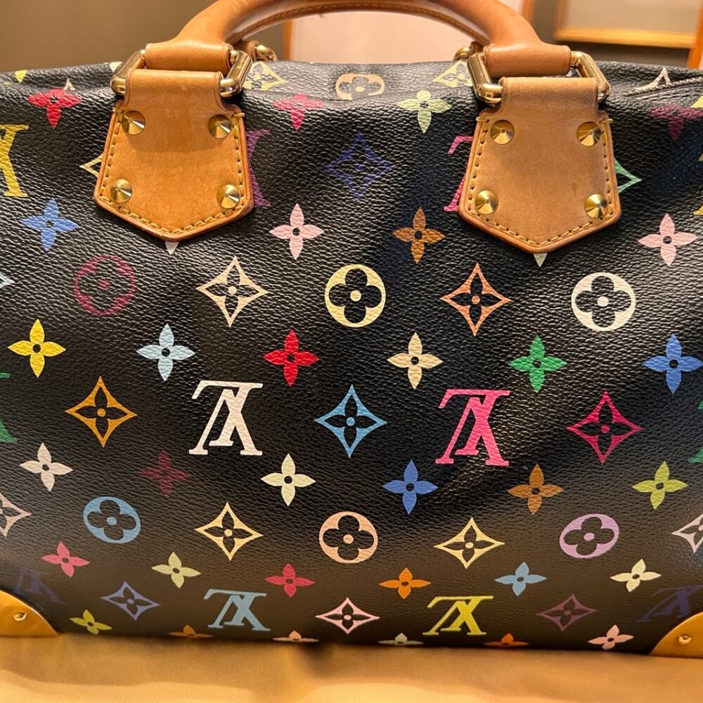 Authentic Louis Vuitton Multi Color Speedy 30 - Picture 13 of 15